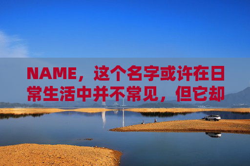 NAME，这个名字或许在日常生活中并不常见，但它却在某些领域里扮演着重要的角色。今天，让我们一起来探索这个名字背后的故事和意义